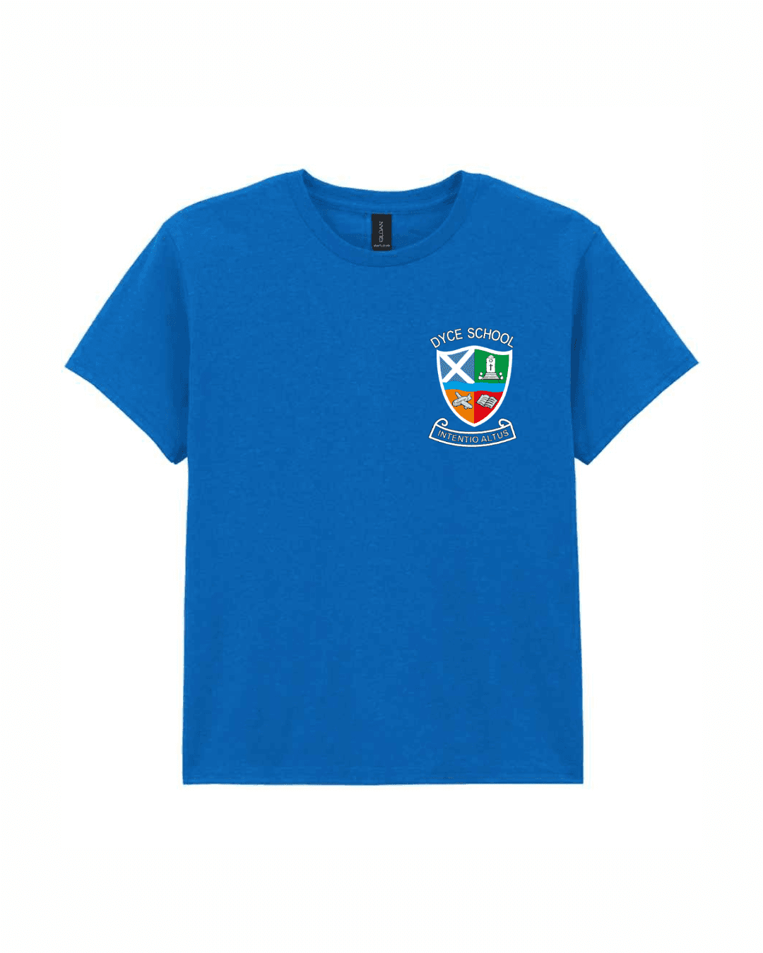 Heavy Cotton™ T-Shirt (with logo) — Royal Blue
